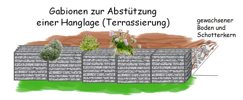 Befüllung und Bepflanzung von Gabionen, Schnitt-Darstellung