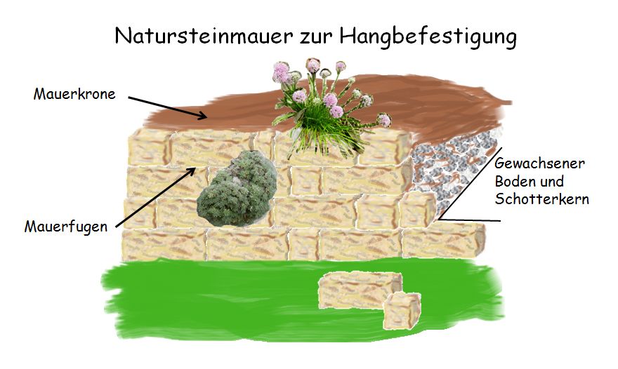 Darstellung einer Kalkstein-Trockenmauer