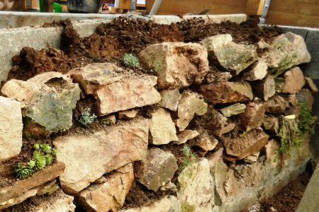 Erde der Mauerkrone einfügen