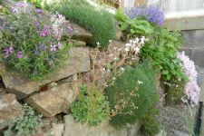 Mauer 4. Jahr nach Fertigstellung