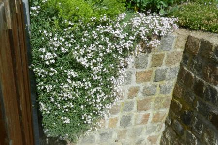 Granitmauer gemauert, Mauerkrone bepflanzbar